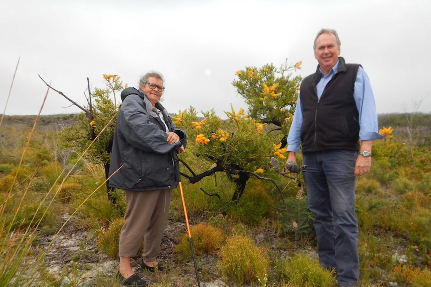 An Indigenous woman and an older Caucasian man stand together in the bush under an overcast sky.