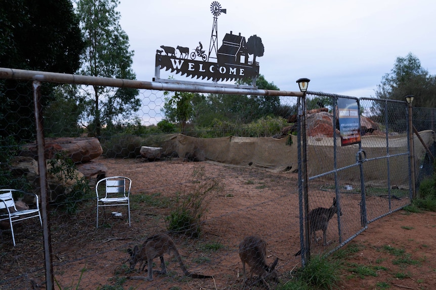A fenced enclosure with a gate and a "welcome" sign. Some kangaroos munch on grass behind the fence.