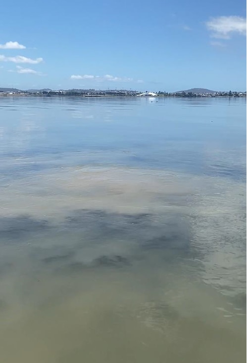 Sustancia gris flotando bajo el agua