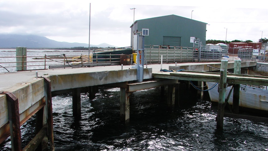 Flinders Island Lady Barron port