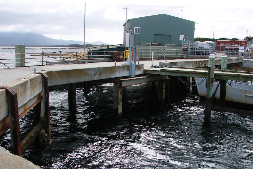 Flinders Island Lady Barron port