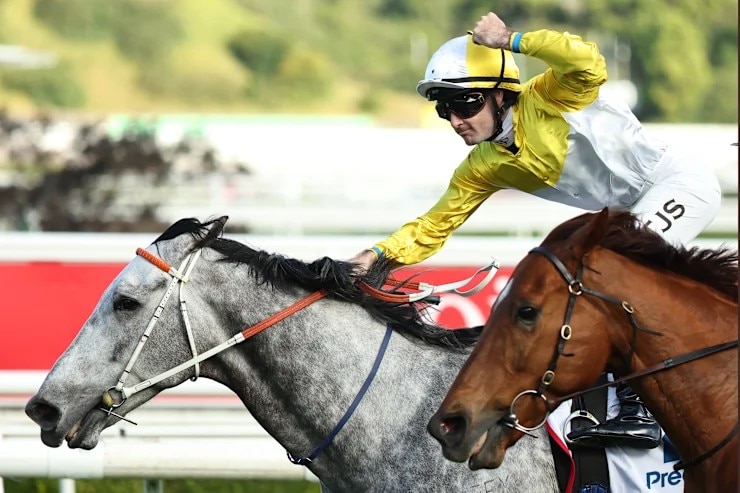Horse Racing: Summer Grandstand - Tyler Schiller