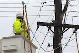 A worker undertakes maintenance