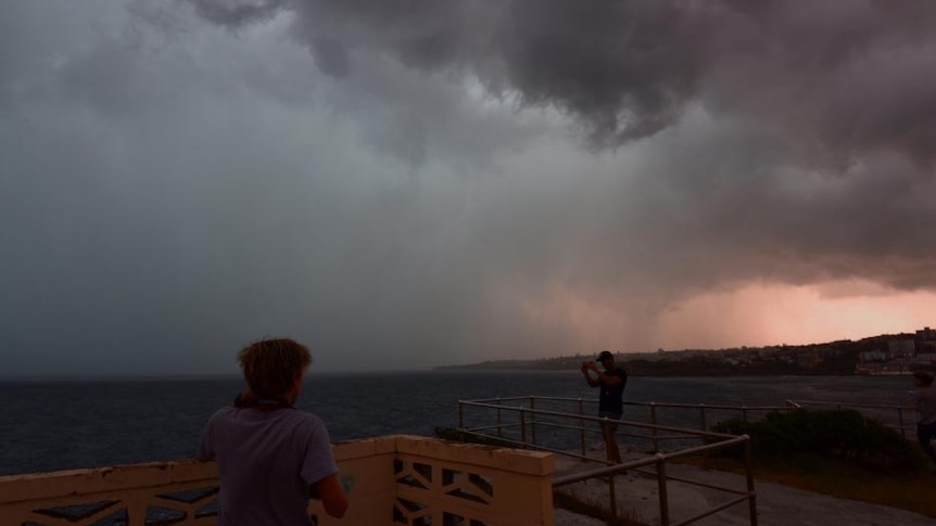 A tornado hits Sydney, December 16, 2015