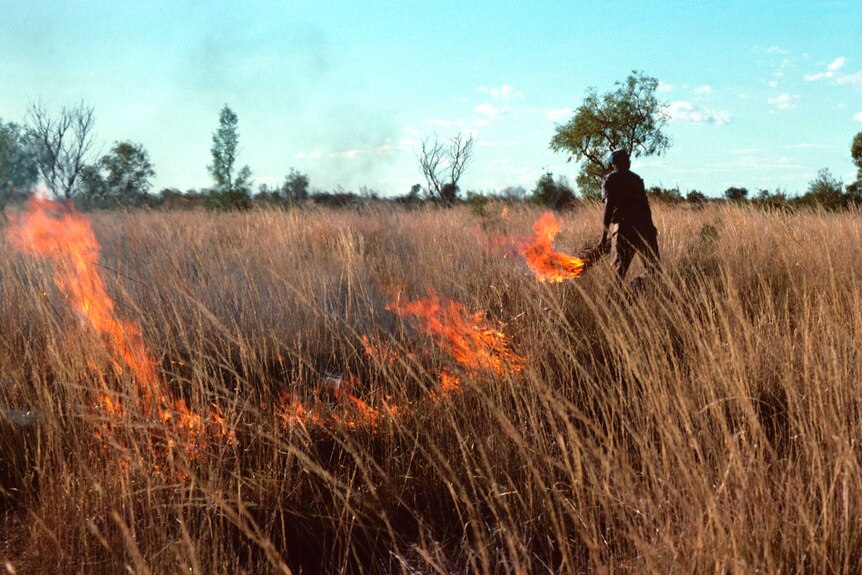 An Indigenous Australian burns spinifex in the desert to promote growth.