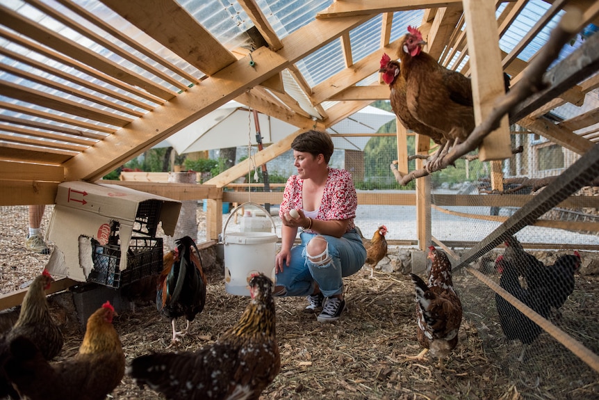 Eva squats down low next to the chickens in the hen house they built
