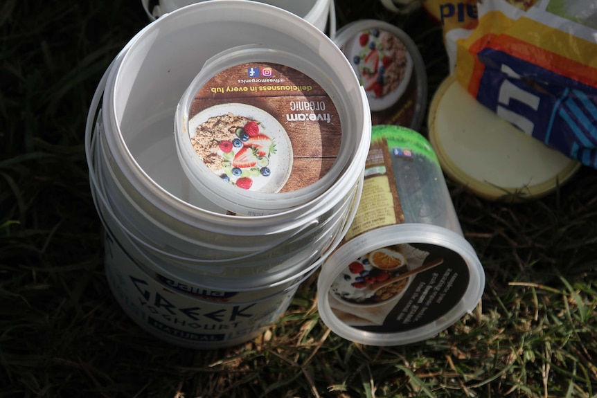 A stack of old plastic yoghurt containers on green grass.