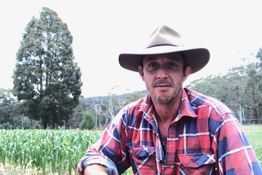 Angus Cerini wearing checked shirt and akubra crouches in front of garlic field, looking at camera.