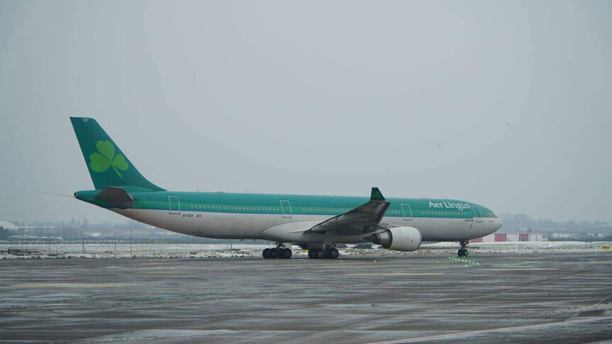 Aer Lingus airlines plane on the tarmac