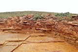 The fossil site on the pastoral property Nilpena Station.