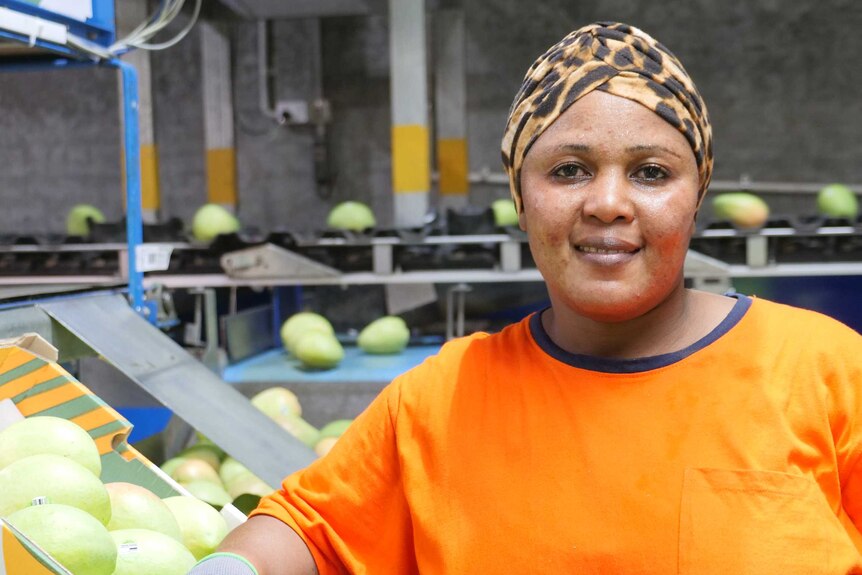 Congolese refugee Deborah Hussein is standing in a mango packing shed with a tray of mangoes in front of her.
