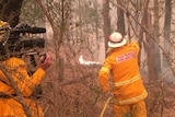 Cameraman filming firefighter with hose spraying flames in bush.