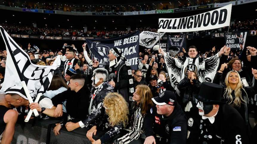 A crowd of fans wearing black and white celebrate in the stands, with several Collingwood signs among them.