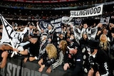 A crowd of fans wearing black and white celebrate in the stands, with several Collingwood signs among them.