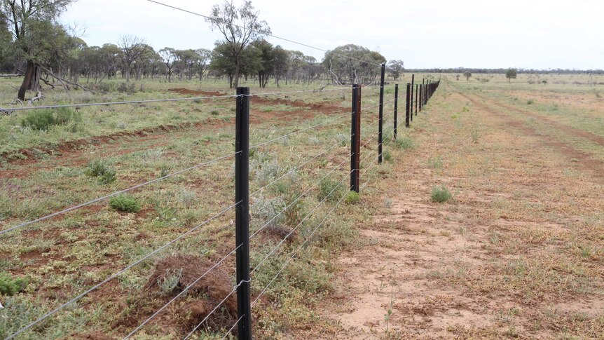 The electric wild dog exclusion fence at Home Creek near Barcaldine.