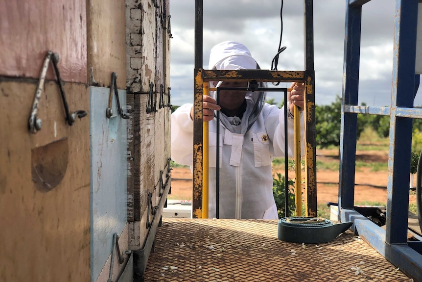 A beekeeper unloading his hives from a truck.