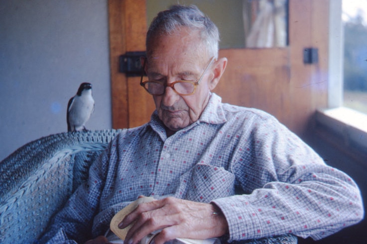 Clarence Hare sits with a bird on a verandah at Eudlo in 1962.