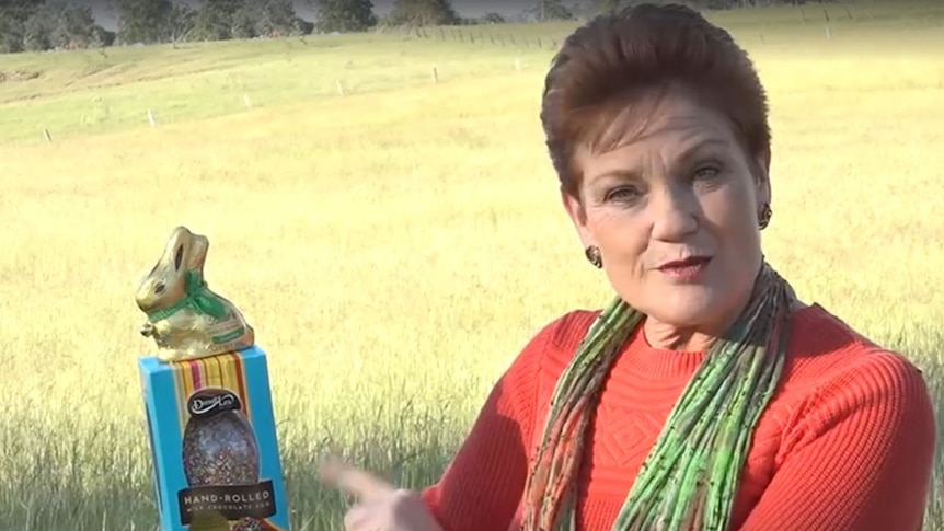 Still from Pauline Hanson's appeal for a boycott of halal-certified Easter eggs.