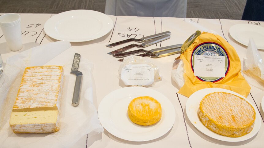 Three different classes of brie and camembert are lined up for tasting.