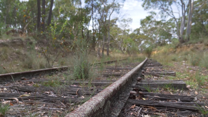 Three arrested over alleged theft of railway sleepers north of Adelaide as police investigate similar incidents
