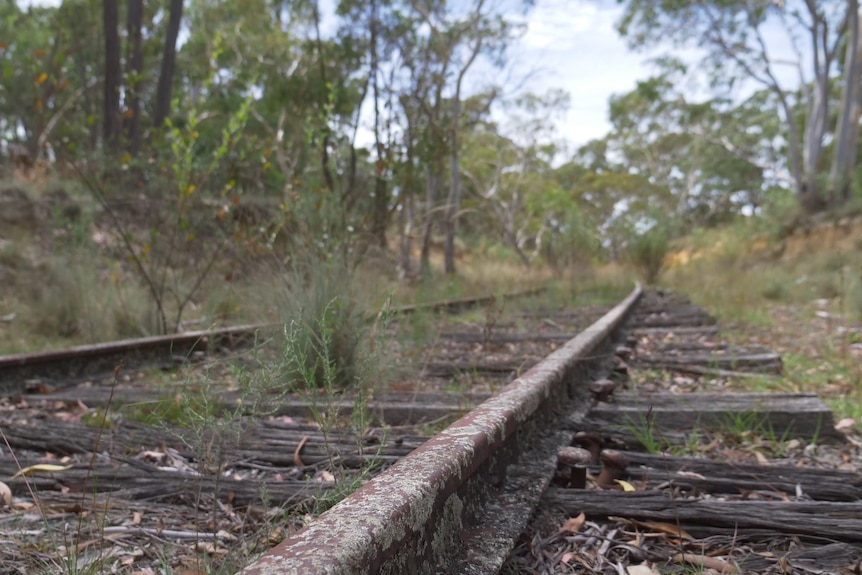 A close up image of a railway line in the country, surrounded by greenery. 