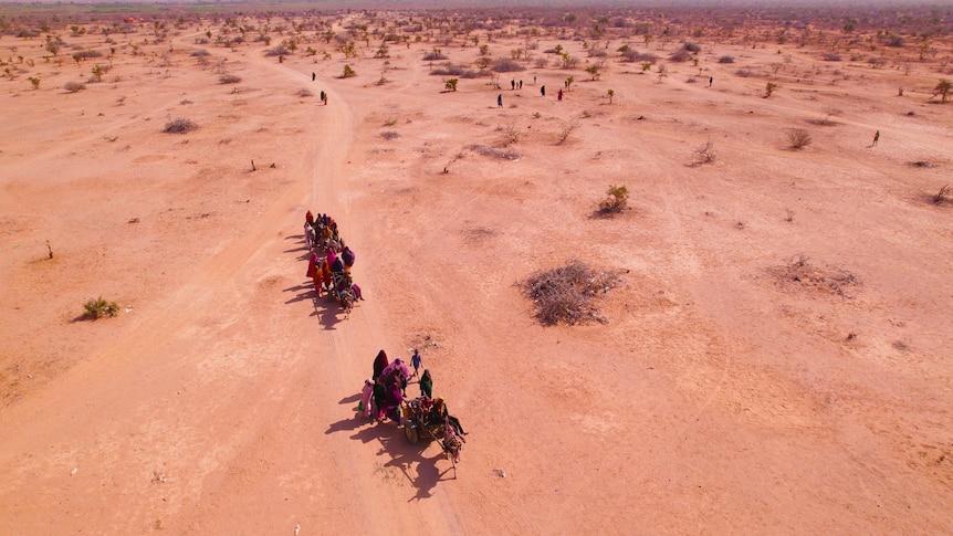 A caravan of refugees in the desert.