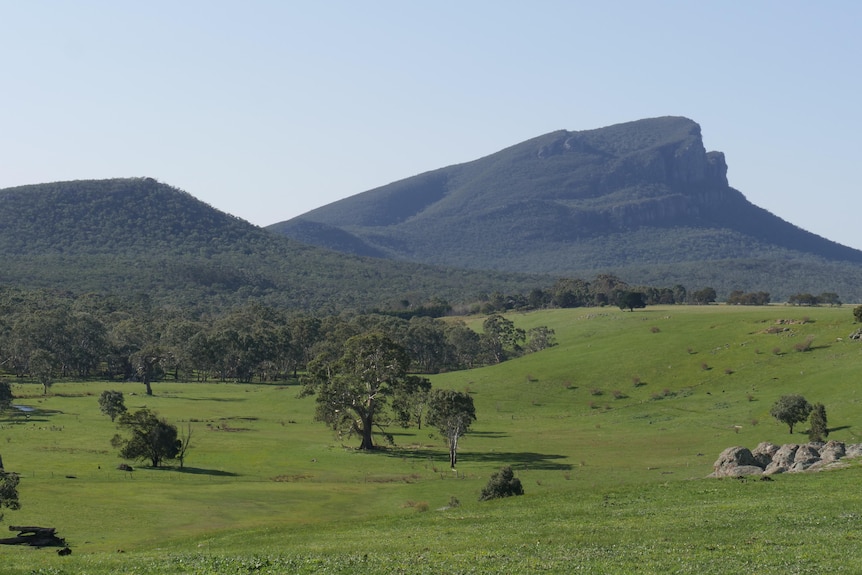 Green paddocks at the base of the Grampains.