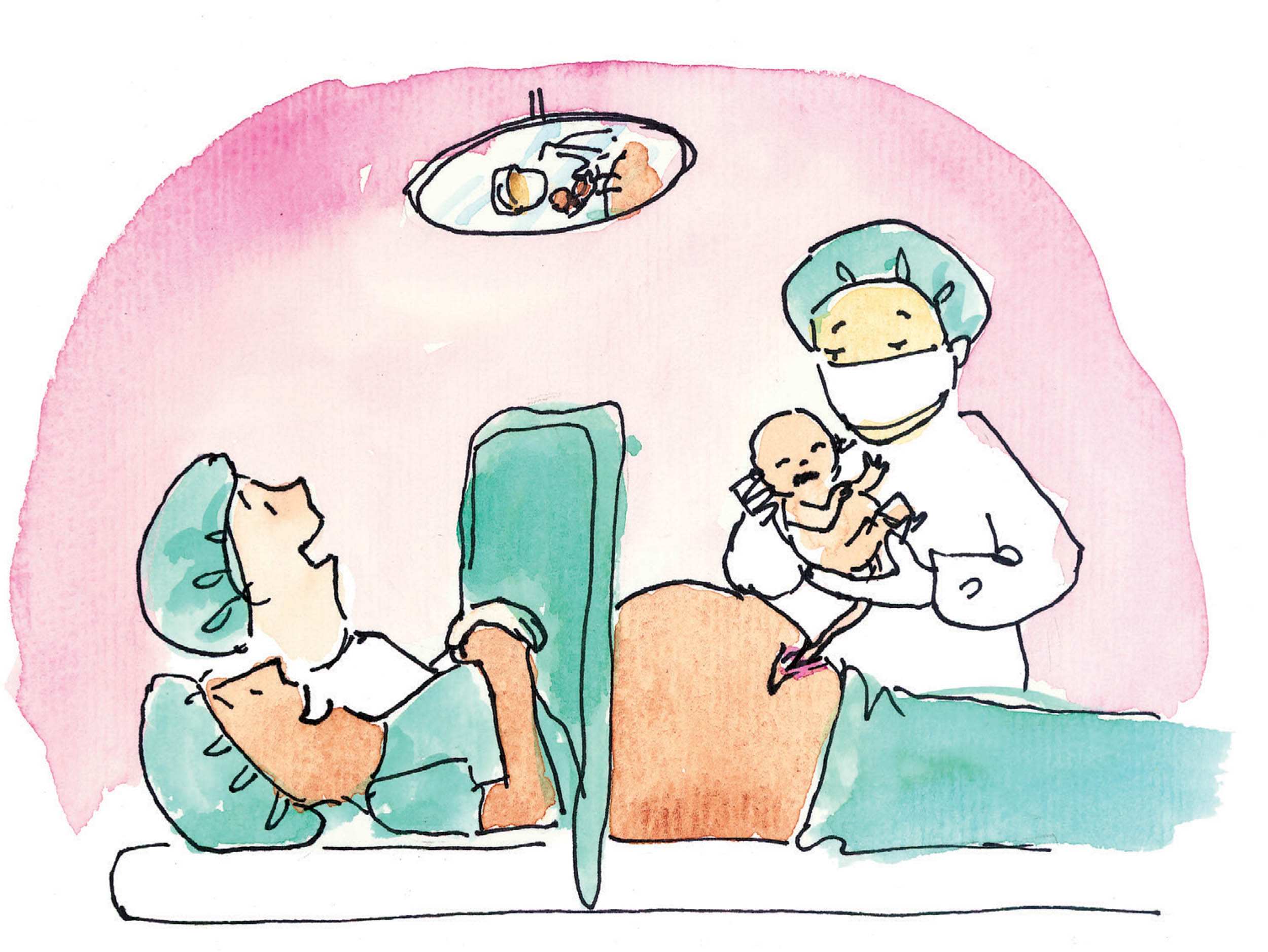 How babies are made: cartoonist Fiona Katauskas explains the birds and ...