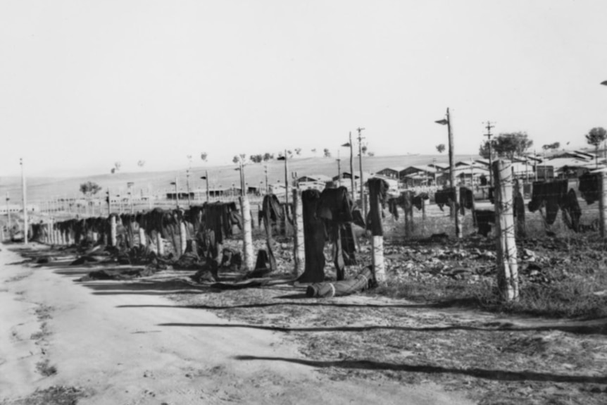 Blankets thrown over barbed wire fences surrounding buildings of a prisoner of war camp.