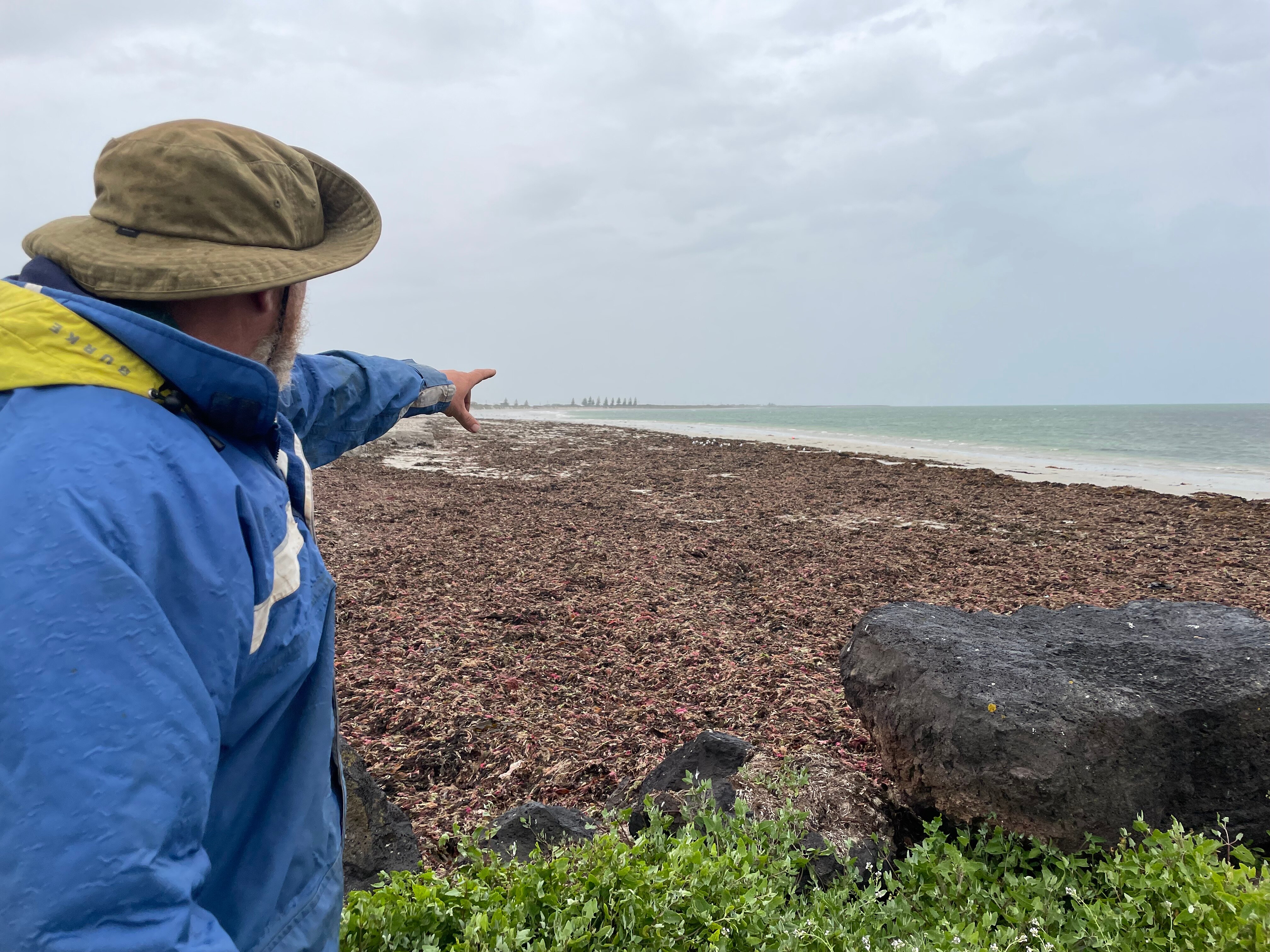 Port Macdonnell fisher