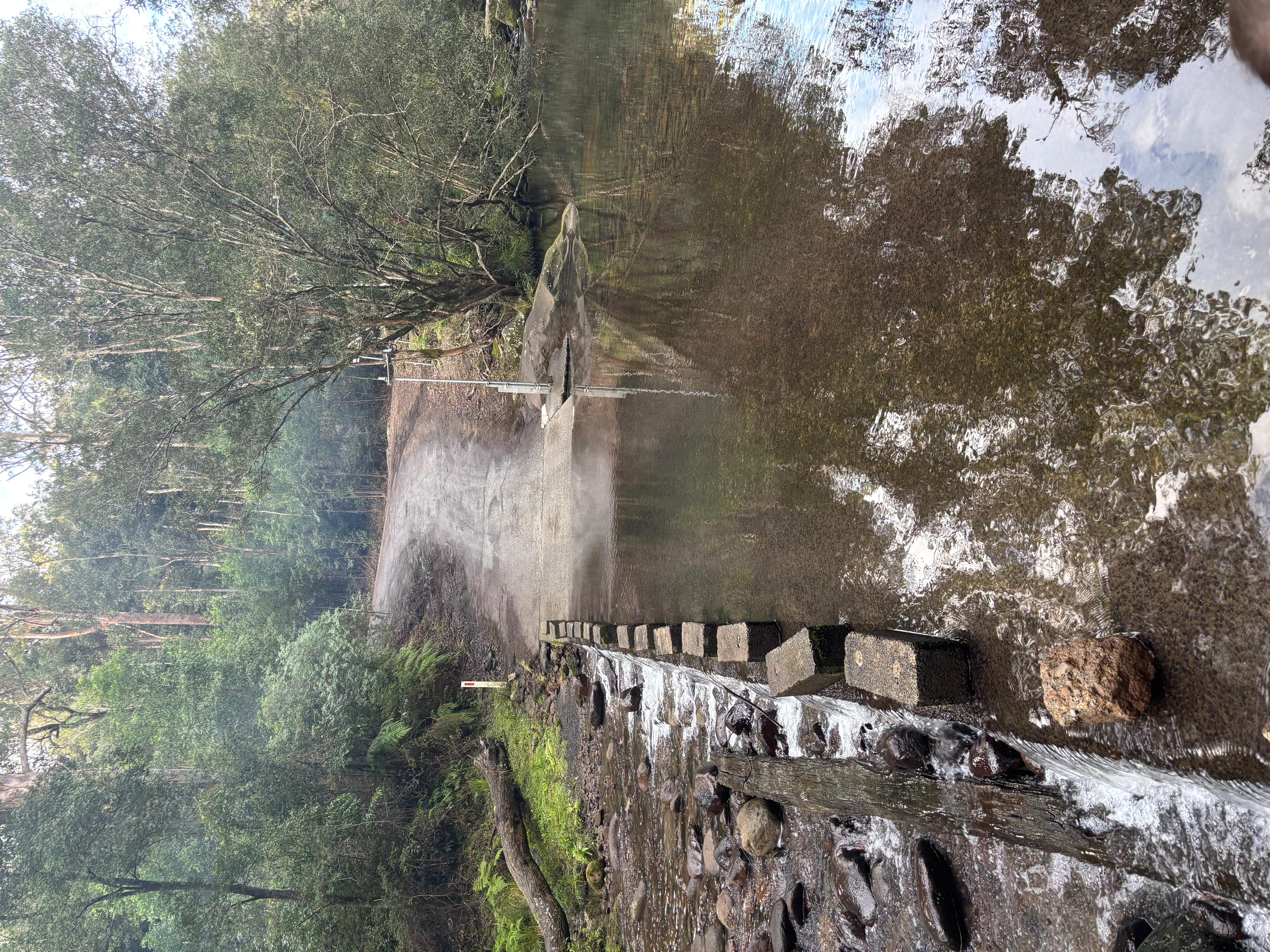 Narrow road leads into creek.