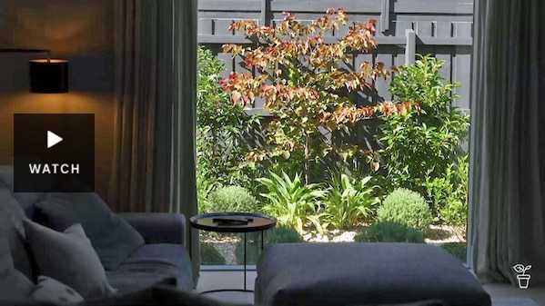 View of a courtyard garden from a living room door. Has Video.