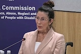 Dianne wearing a pink jacket and sitting in a wheelchair, speaking into a microphone from the witness stand.