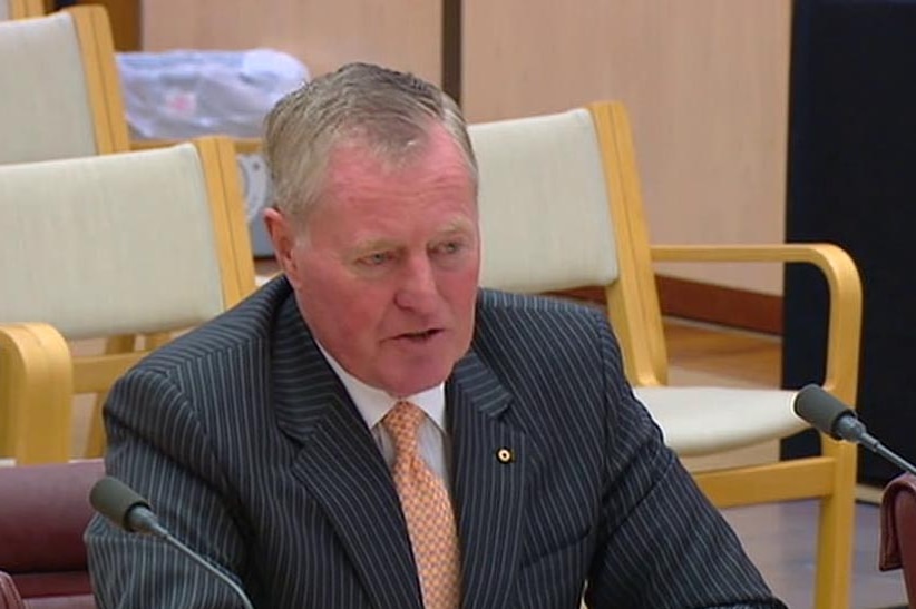 Robert Cornall speaks at a Senate inquiry