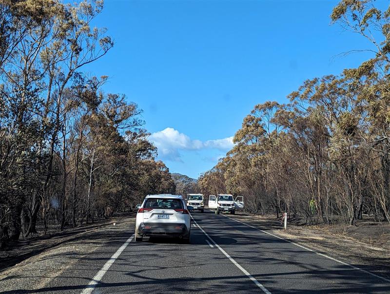 Two white cars drive away from and towards the camera and another is parked on the side of the road next to burnt bushland.