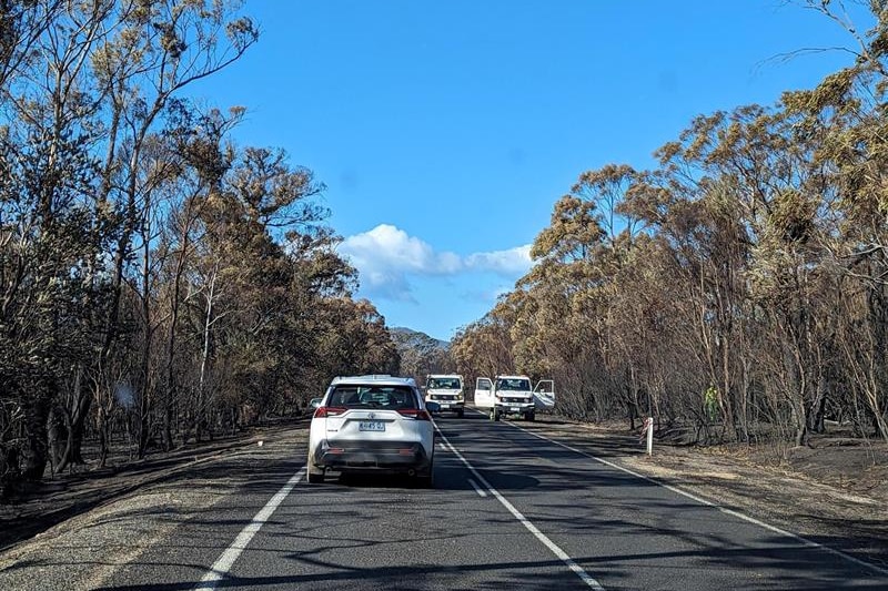 Two white cars drive away from and towards the camera and another is parked on the side of the road next to burnt bushland.
