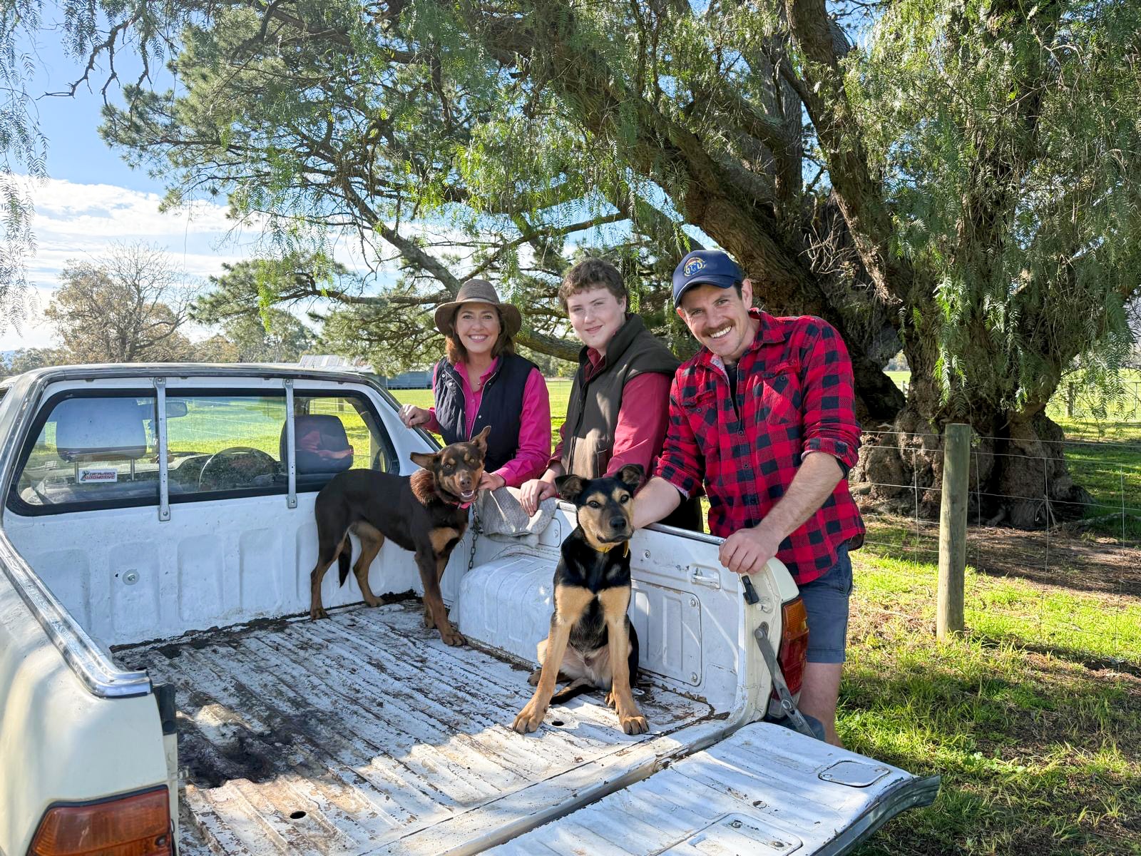 Lisa Millar está delante de ellos con un niño y un hombre con dos perros Kelpie en la bandeja.