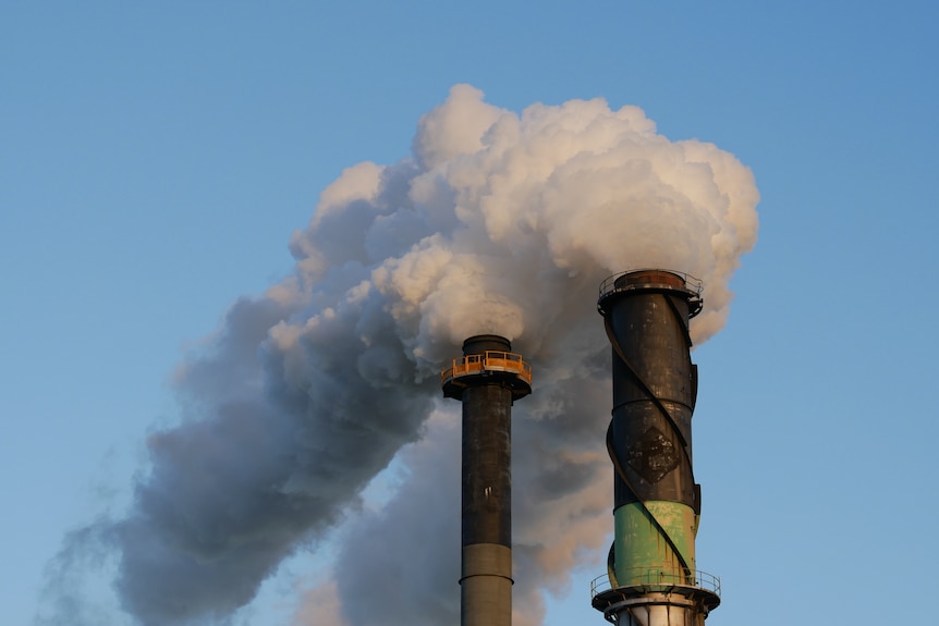 sugarcane mill blowing steam