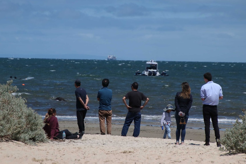 A rear view of a group of people standing on a beach looking out to the water.