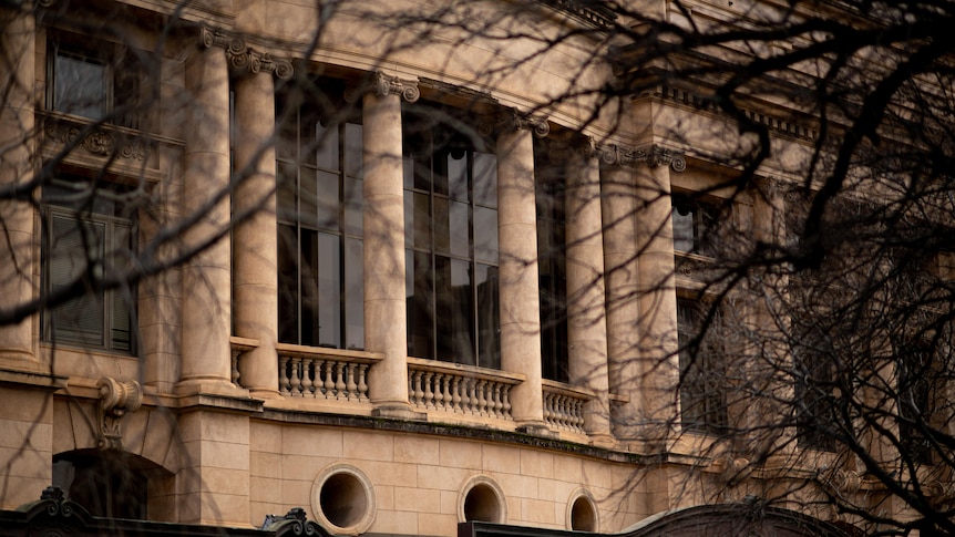 Bare branches covering a large beige building in the background.