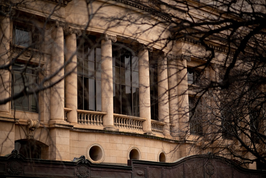 Bare branches covering a large beige building in the background