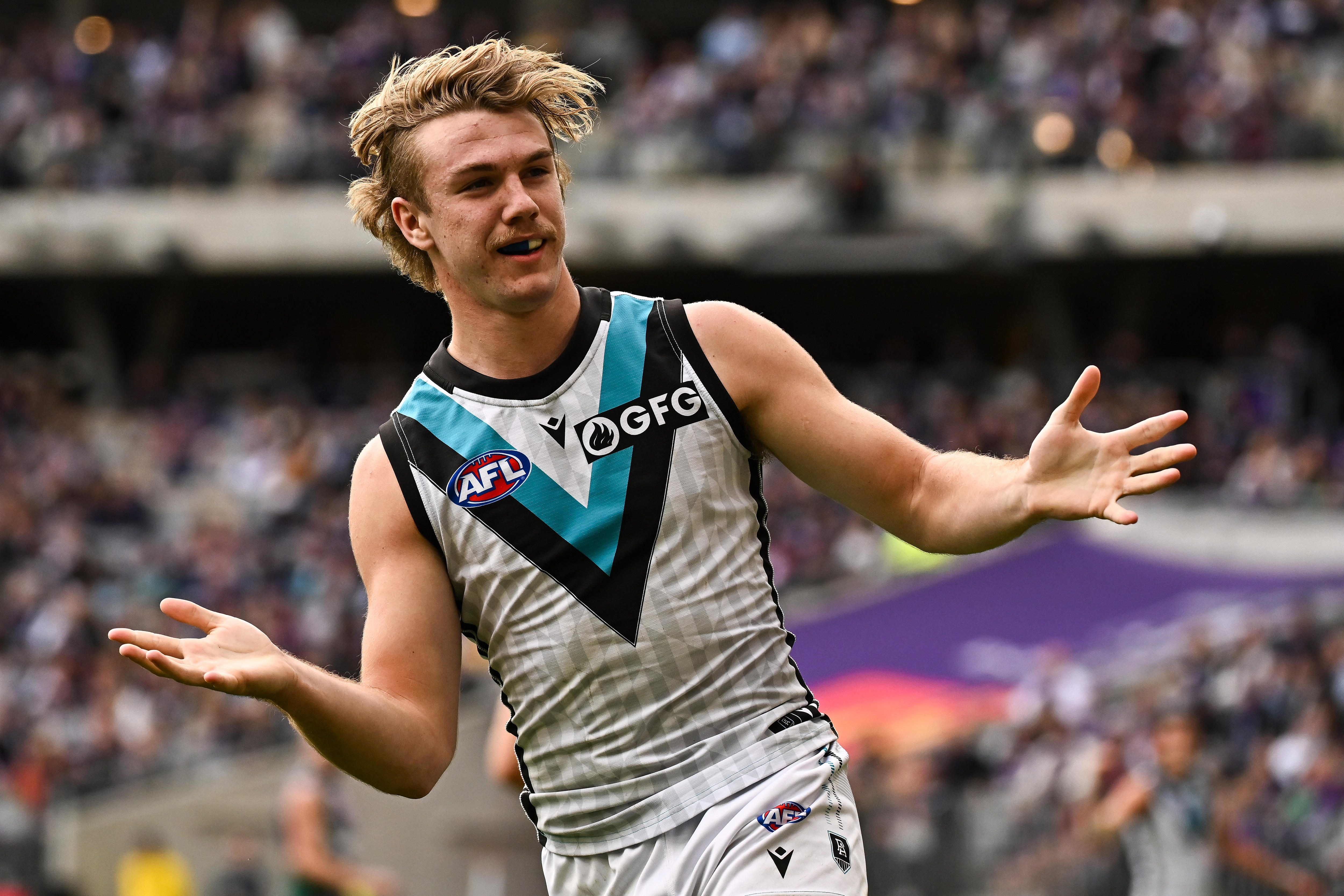 Jamarra UgleHagan, Jason HorneFrancis and Shai Bolton A look at the