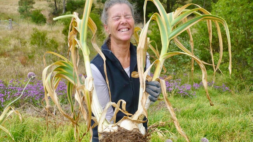A woman throws back her head and grins as she holds up two huge bulbs of garlic with leaves, roots and dirt still attached.