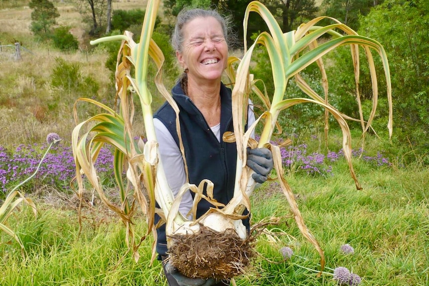 A woman throws back her head and grins as she holds up two huge bulbs of garlic with leaves, roots and dirt still attached.