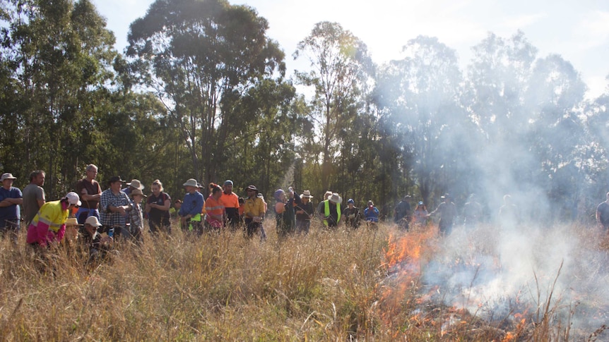 People standing around watching a fire burning in tall grass