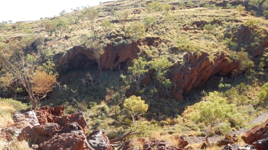 Cave mouths in the outback, covered by low shrub.