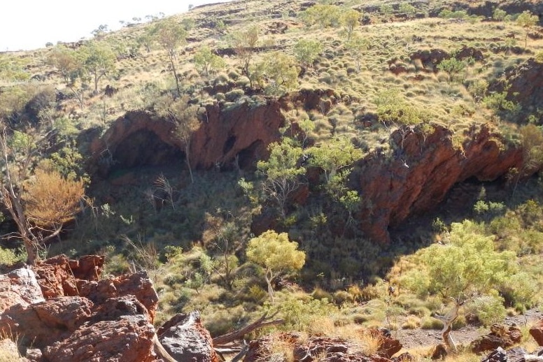 Cave mouths in the outback, covered by low shrub.