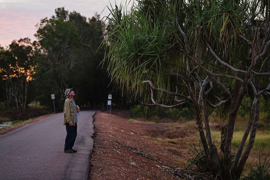 Dr Greg Brown inspects a tree at Fogg Dam.