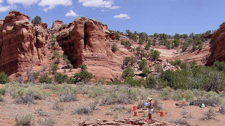 A researcher works on an excavation site, red stone cliffs are in the background