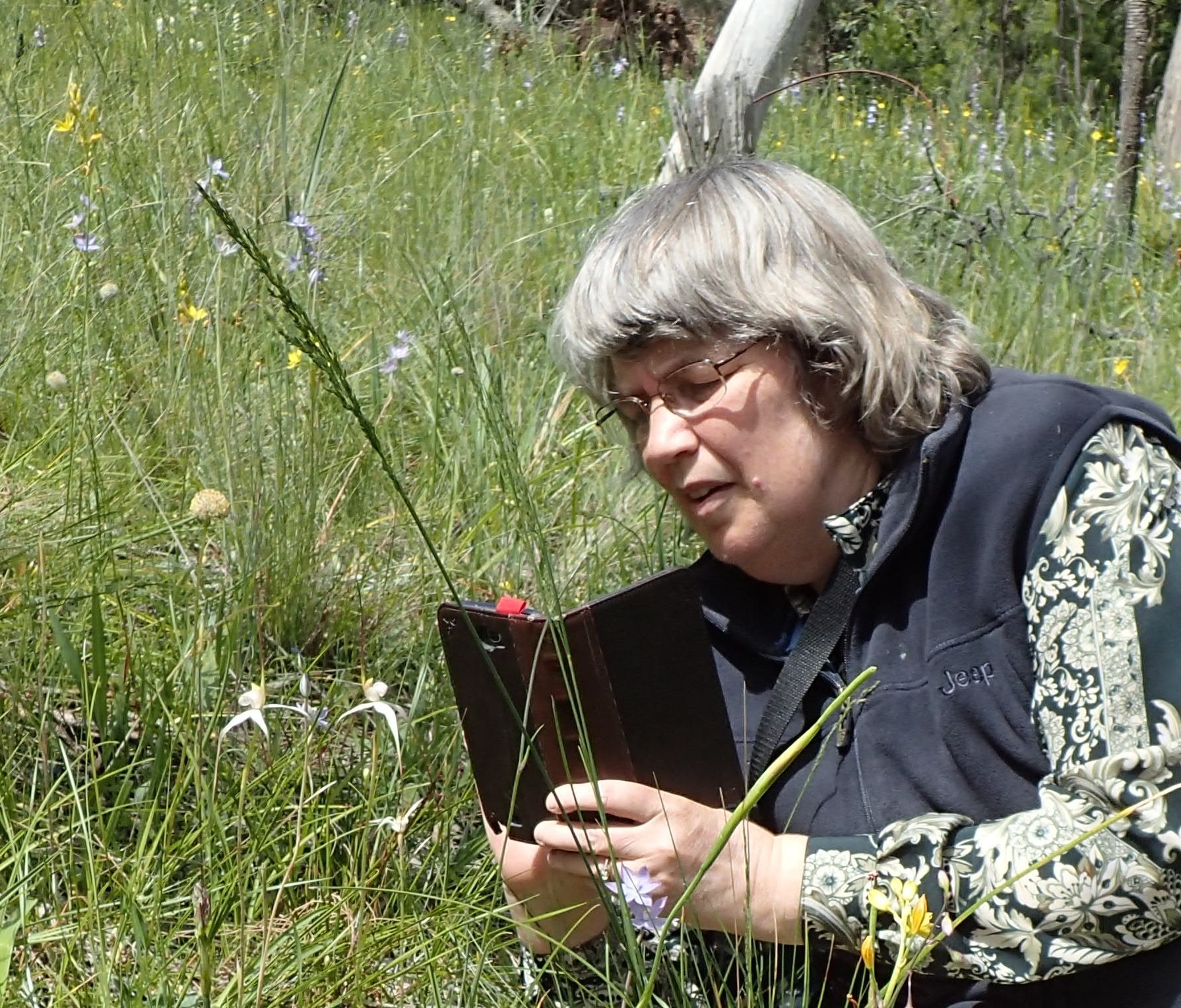 Mujer de pelo gris se agacha en un prado, sosteniendo su teléfono para fotografiar pequeñas flores blancas